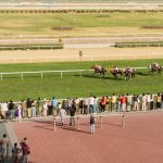 在百家乐中,如何有效利用游戏记录-百家乐策略-百家乐论坛