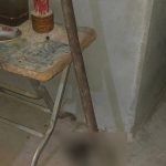 柬新年血案!柬男用锄头挖死妻子,还打电话称“来收尸吧!”-百家乐策略-百家乐论坛