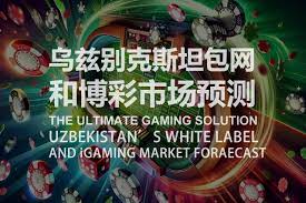 娱乐场红利的三种类型：如何选择最适合的？-百家乐策略-百家乐论坛