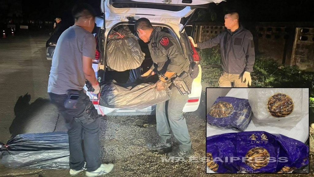 泰国资讯 金三角冰毒再现清盛！500公斤被查获-百家乐策略-百家乐论坛