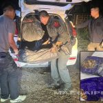 泰国资讯 金三角冰毒再现清盛!500公斤被查获-百家乐策略-百家乐论坛